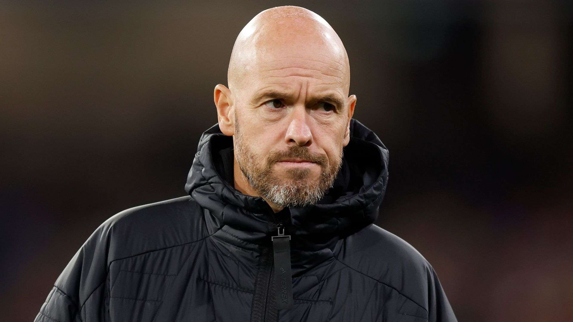 及训练也将 及训练也将